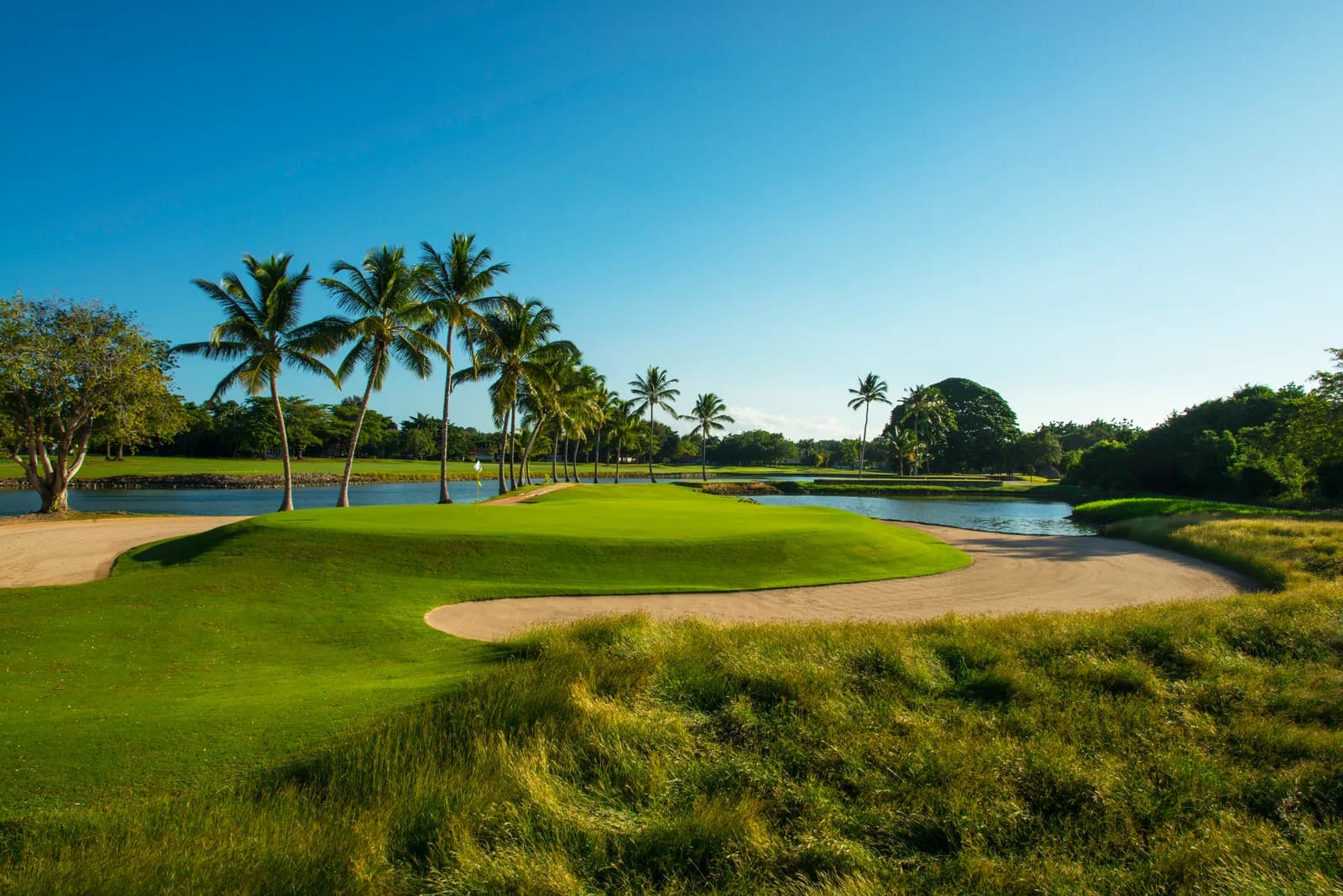 Palm-lined green beside a lake at The Links, Casa de Campo