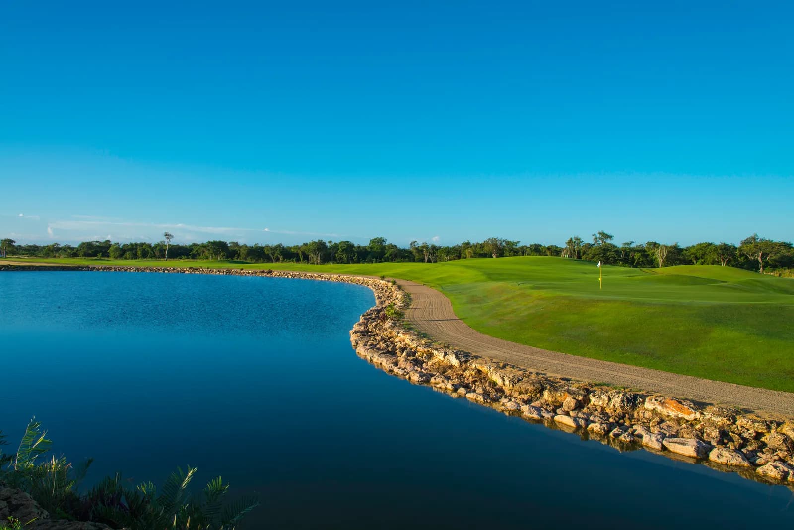 A Dye Fore Lagos green beside a still lake edged with pale rock, under a clear blue sky.