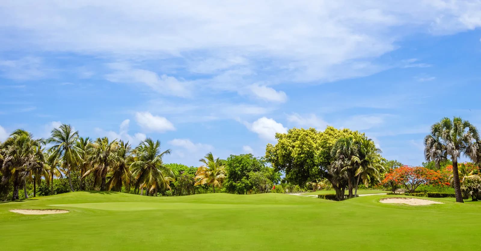 Tee shot framed by flowers and a white egret at Cocotal Golf & Country Club