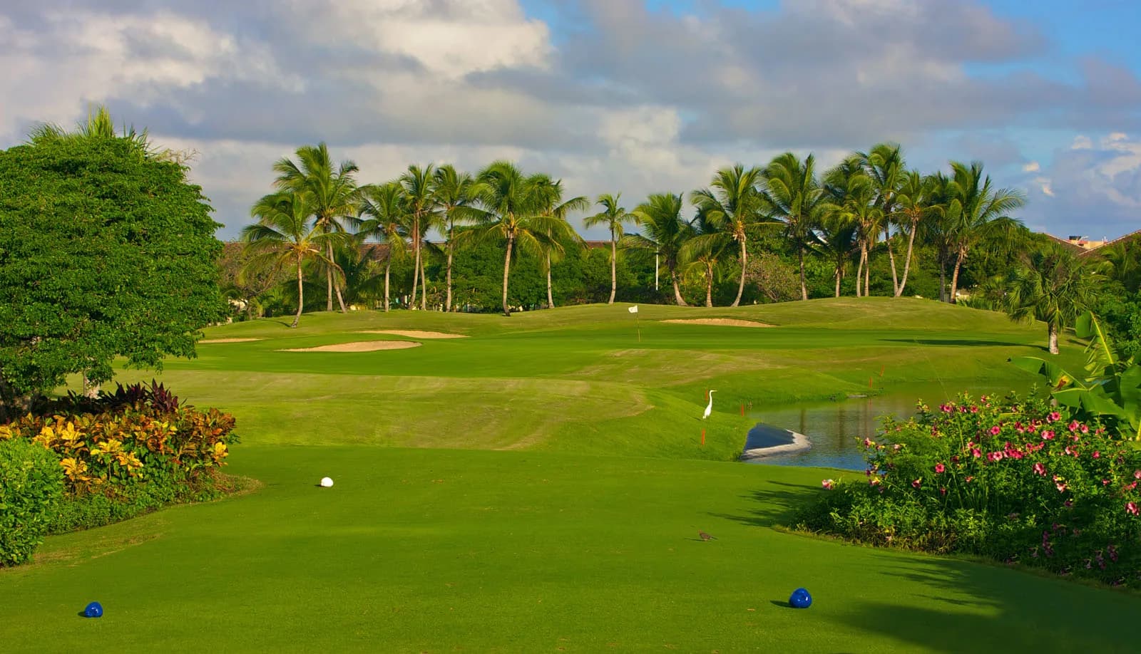 Tee shot framed by flowers and a white egret at Cocotal Golf & Country Club