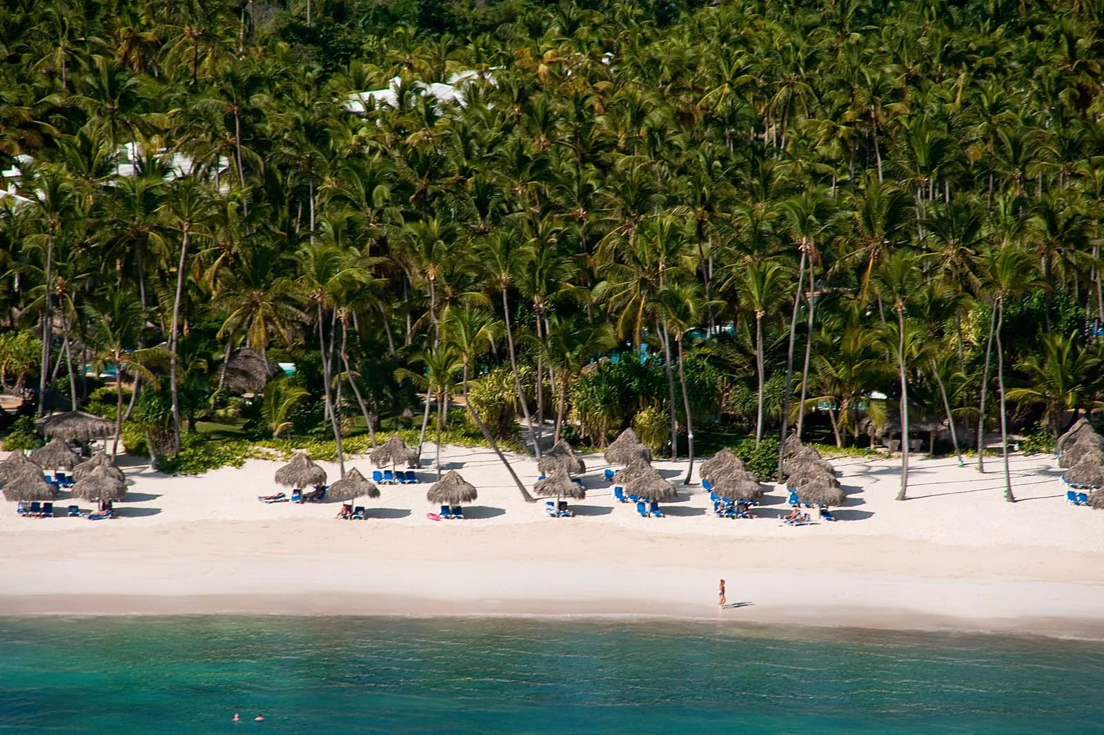 Aerial view of Bavaro Beach with thatched palapas and loungers on white sand between tall palms and clear turquoise water.