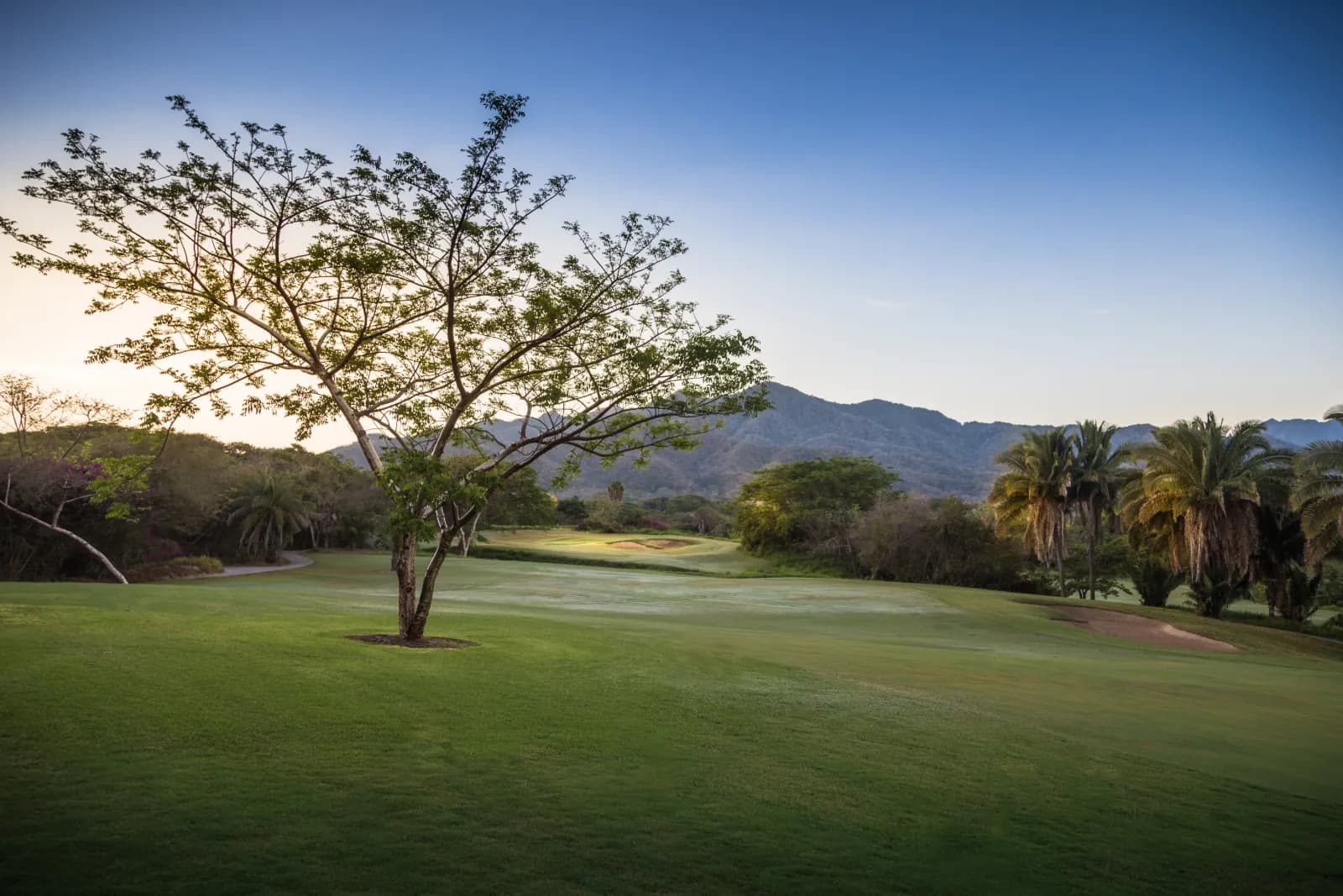 Vista Vallarta, Nicklaus — fairways that roll and fall toward the Sierra Madre. You feel it in the club selection.