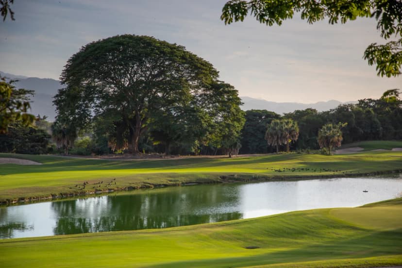 A water hazard on the Tom Weiskopf course at Vista Vallarta at dusk, with a large spreading tree above the far bank and mountains beyond.